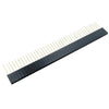 رأس دبوس أنثى 1x40