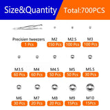 700pcs Steel Ball Bearing Assortment